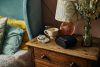 Roberts-Radio ORTUSCHARGEDBK-DAB DAB-FM Radio