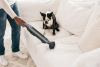 Shark WV361UK Cordless Vacuum Cleaner