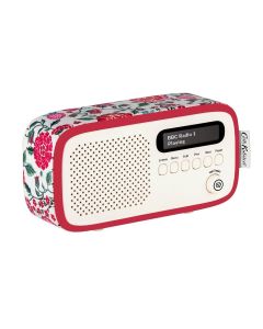 Viewquest VQDEXTERCKSG DAB-FM Radio
