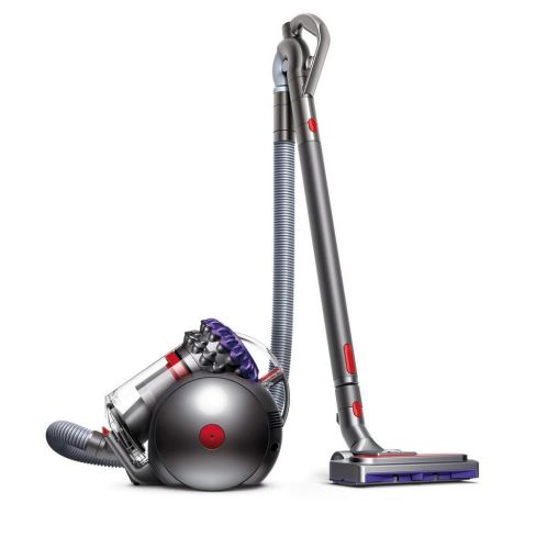 Dyson BIGBALLANIMAL2 Floorcare