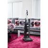 Sebo 91533GB Floorcare
