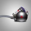 Dyson BIGBALLANIMAL2 Floorcare