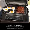 Ninja XSKOGXLGGCMEU Woodfire XL Electric BBQ Grill & Flat Plate Accessory- Black