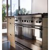 Fisher-Paykel OR120DDWGX2 Range Cooker