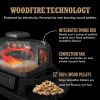 Ninja OG701UK Woodfire Electric BBQ Grill & Smoker Grey