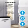 Tower T674004 20 Litre Dehumidifier