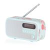Viewquest VQDEXTERCKAR Radio
