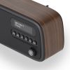 Viewquest VQDEXTERWT DAB-FM Radio