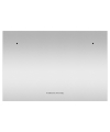 Fisher and Paykel ADDD60SPX Stainless Steel Door Panel for Integrated Single Dishwasher